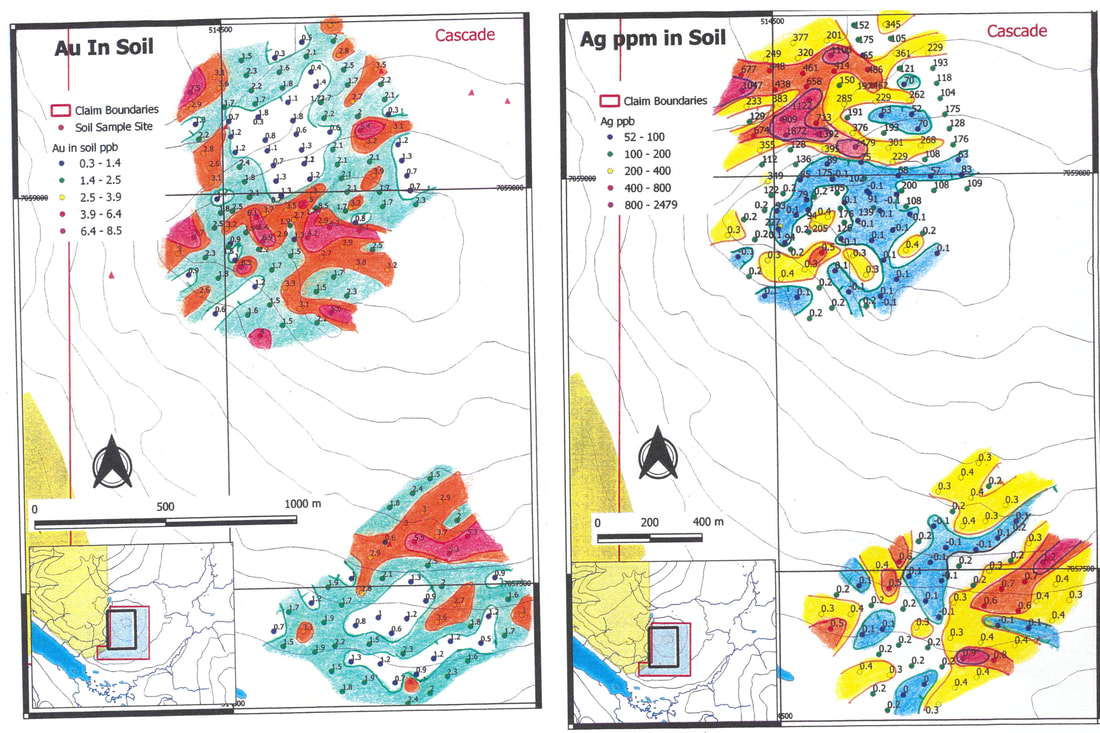  Figure 10. Gold and silver in soils at Cascade. Ag anomaly in NW corner is mirrored by Ni, Cr, Cu, Mo, As, (Au), K, Hg, and Ca; and in SE corner by Ni, Cu, Mo, Mg, K and Hg; E-W Au anomaly in central part of upper grid is mirrored by K, Mg, (Fe), La and Th; and in NE part of lower grid by Zn, W, Mo, Sb, Mn, Mg, (K) and Th; on the E side of the upper grid, a weak N-S Au anomaly is mirroered by Sb, As, K, Hg and Fe. Ca and Mn are very elevated on the southern 2/3 of the lower grid.