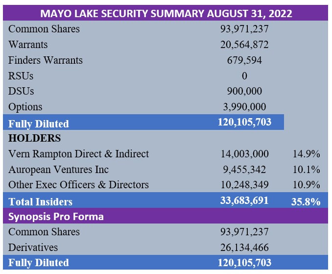 Mayo Lake Security Summary